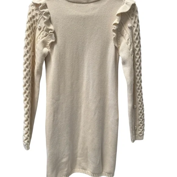 Girls Sweater Dress Assortment Lot, Gymboree Dress Bundle size Large (12) - Picture 5 of 15